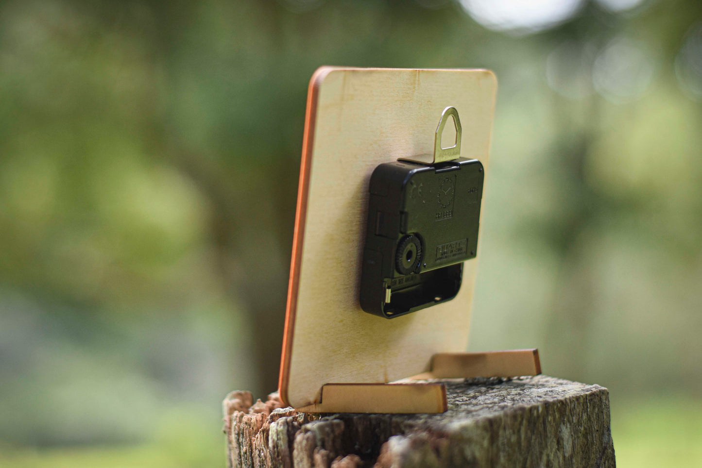 Surf square tide clock